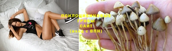 спайс Баксан
