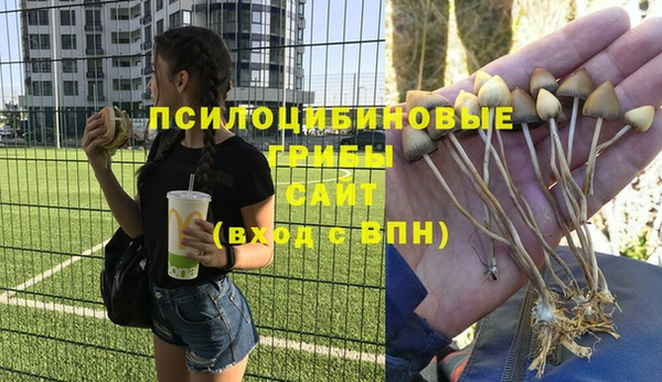 спайс Баксан