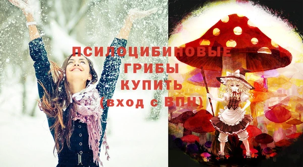 спайс Баксан